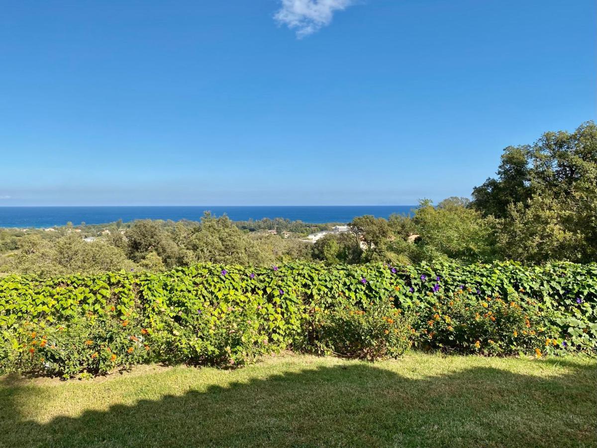 Domaine Punta Della Guardia Villa Panorama Maquis Et Mer, Plage A 1,5 Km Cervione Exterior foto