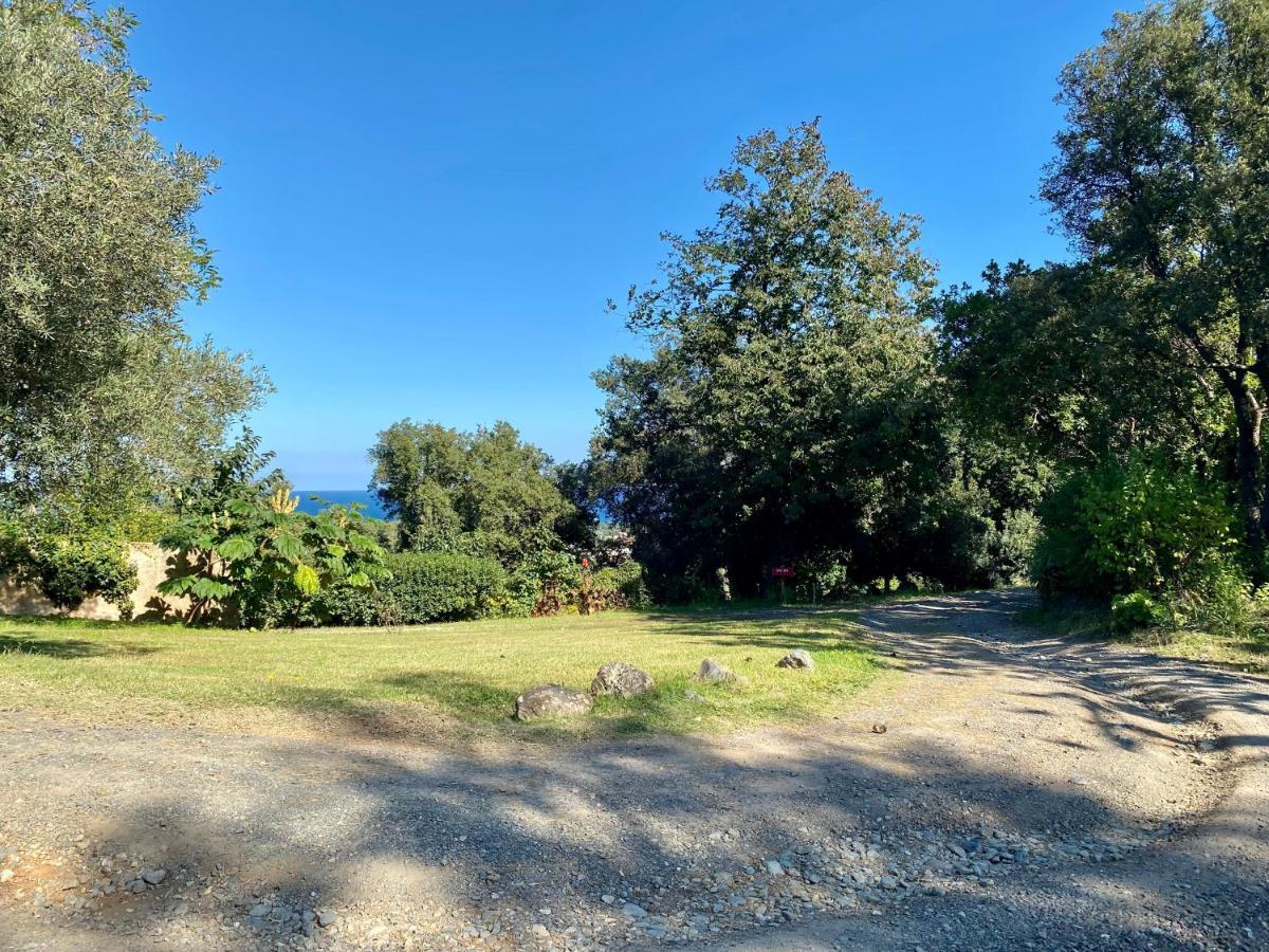 Domaine Punta Della Guardia Villa Panorama Maquis Et Mer, Plage A 1,5 Km Cervione Exterior foto